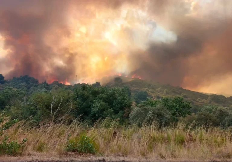 1499664496-RqnOdaTh1P1qGDX8aRGaqJP-1200x840@diario_abc